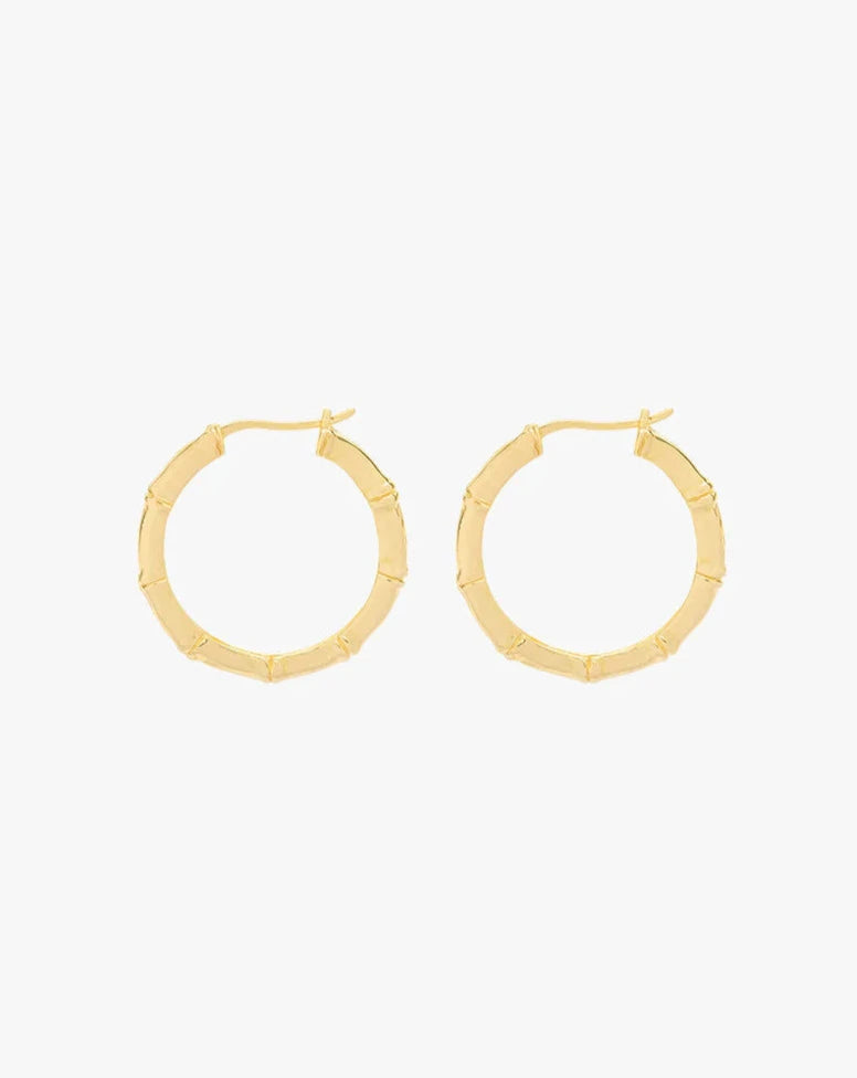 Wildthings Collectable • Medium Bamboo Hoop Ohrringe Gold