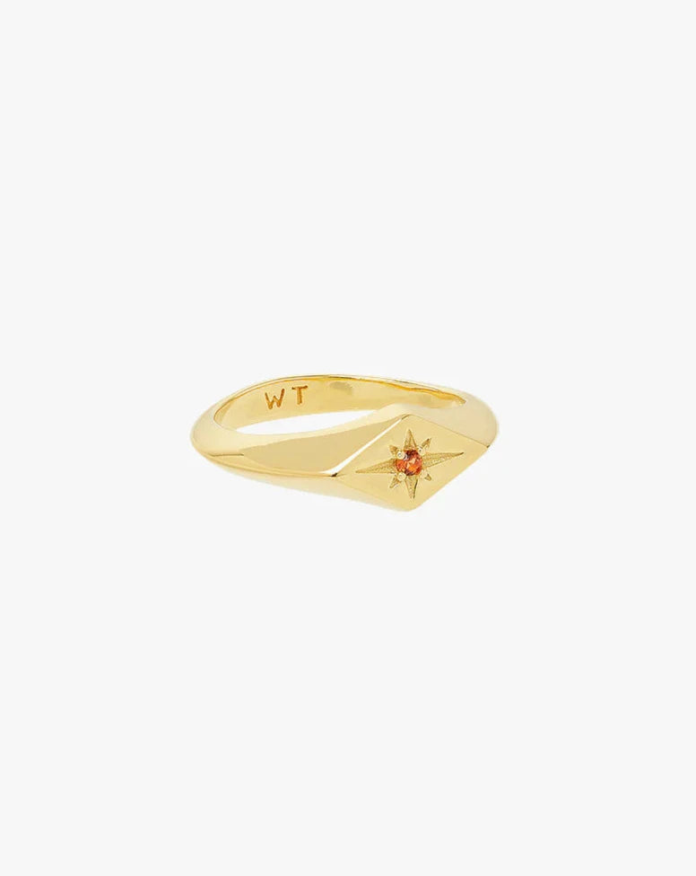 Wildthings Collectable • Sunlit Signet Pinky Ring Gold